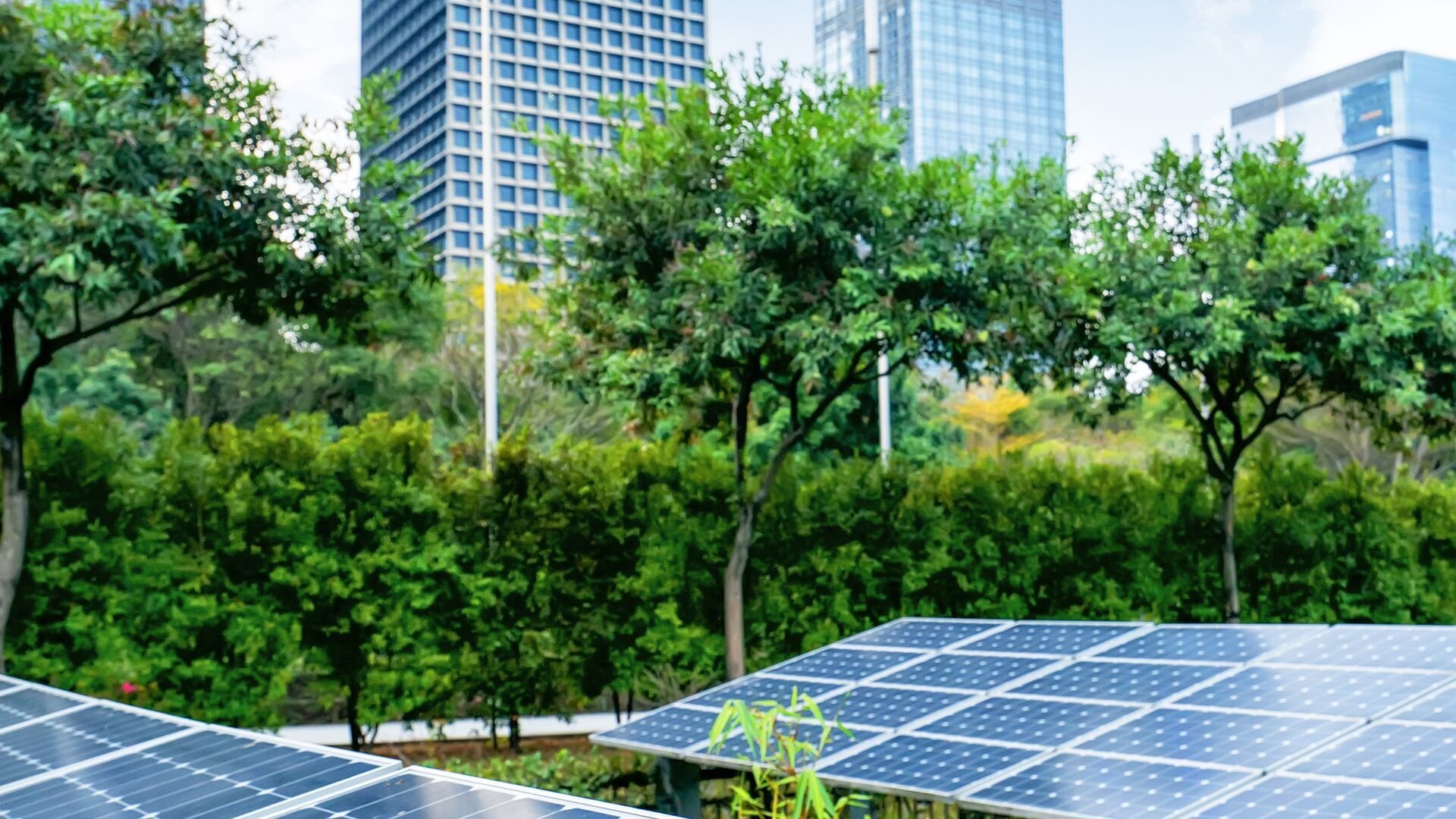 Image02_Large-AdobeStock_198218199