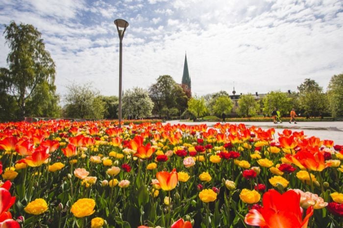 Linköping kommun